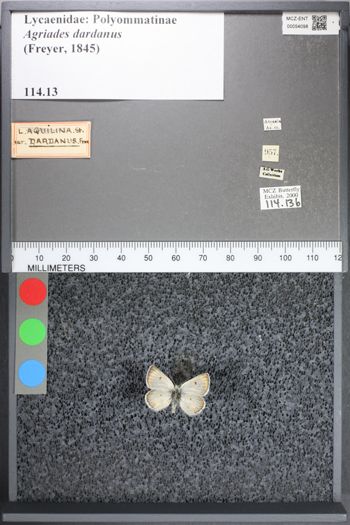 Media type: image;   Entomology 54098